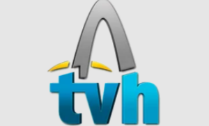 Logo TV Higuey Canal 12
