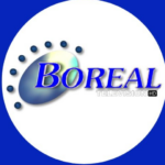 Logo Boreal Television